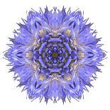 Blue Cornflower Mandala Flower Kaleidoscope-tr3gi-Art Print