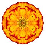 Yellow Concentric Marigold Mandala Flower-tr3gi-Art Print