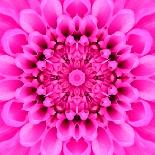 Pink Concentric Flower Center: Mandala Kaleidoscopic-tr3gi-Art Print