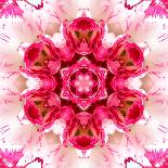 Big Collection of Various Red Pattern Flowers-tr3gi-Art Print