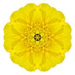 Big Collection of Various Yellow Pattern Flowers-tr3gi-Art Print