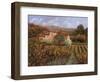 Tra Le Vigne a Montalcino-Guido Borelli-Framed Giclee Print