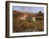 Tra Le Vigne a Montalcino-Guido Borelli-Framed Giclee Print