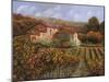 Tra Le Vigne a Montalcino-Guido Borelli-Mounted Giclee Print