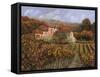 Tra Le Vigne a Montalcino-Guido Borelli-Framed Stretched Canvas