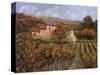 Tra Le Vigne a Montalcino-Guido Borelli-Stretched Canvas