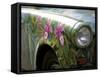 Trabant Car, Berlin, Germany-Walter Bibikow-Framed Stretched Canvas