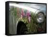 Trabant Car, Berlin, Germany-Walter Bibikow-Framed Stretched Canvas