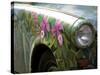 Trabant Car, Berlin, Germany-Walter Bibikow-Stretched Canvas