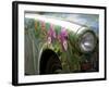 Trabant Car, Berlin, Germany-Walter Bibikow-Framed Photographic Print