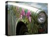 Trabant Car, Berlin, Germany-Walter Bibikow-Stretched Canvas