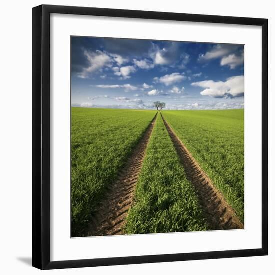 Trace & Trees-Carsten Meyerdierks-Framed Giclee Print