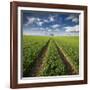 Trace & Trees-Carsten Meyerdierks-Framed Giclee Print