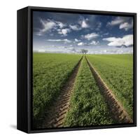 Trace & Trees-Carsten Meyerdierks-Framed Stretched Canvas