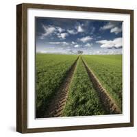 Trace & Trees-Carsten Meyerdierks-Framed Photographic Print