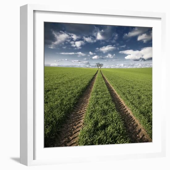 Trace & Trees-Carsten Meyerdierks-Framed Photographic Print