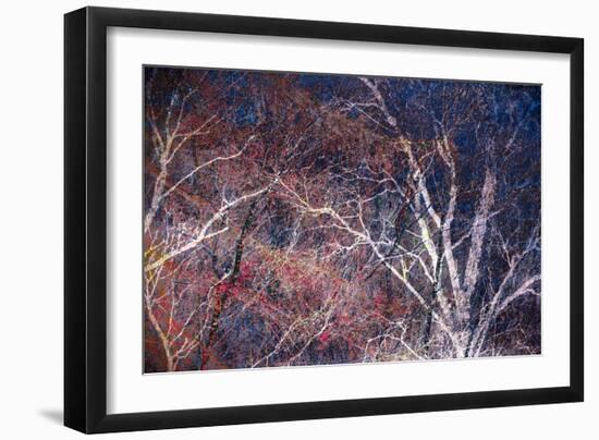 Tracery I-Doug Chinnery-Framed Giclee Print