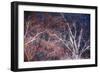 Tracery I-Doug Chinnery-Framed Giclee Print