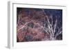 Tracery I-Doug Chinnery-Framed Giclee Print