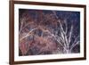 Tracery I-Doug Chinnery-Framed Giclee Print