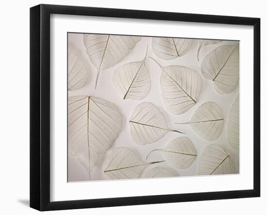 Tracery-Assaf Frank-Framed Giclee Print