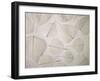 Tracery-Assaf Frank-Framed Giclee Print