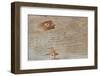 Traces on Wood-chabkc-Framed Photographic Print