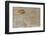 Traces on Wood-chabkc-Framed Photographic Print