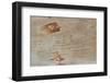 Traces on Wood-chabkc-Framed Photographic Print