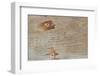 Traces on Wood-chabkc-Framed Photographic Print