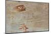 Traces on Wood-chabkc-Mounted Photographic Print