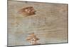 Traces on Wood-chabkc-Mounted Photographic Print