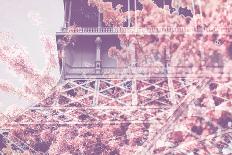 Eiffel Blossoms-Tracey Telek-Laminated Photographic Print