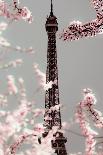 Eiffel Blossoms-Tracey Telek-Photographic Print