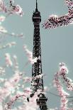 Eiffel Blossoms-Tracey Telek-Laminated Photographic Print