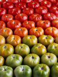 Red and Green Tomatoes-Tracey Thompson-Laminated Photographic Print