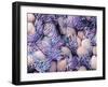 Trachea Lining, SEM-NIBSC-Framed Premium Photographic Print