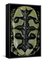 Trachemys Dorbigni (Black-Bellied Slider)-Paul Starosta-Framed Stretched Canvas