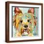 Brown Frame