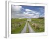 Track and Farm Building, Near Lake Ferry, Wairarapa, North Island, New Zealand-David Wall-Framed Photographic Print