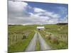 Track and Farm Building, Near Lake Ferry, Wairarapa, North Island, New Zealand-David Wall-Mounted Photographic Print