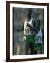 Track Athlete Kip Keino in Action at the Summer Olympics-John Dominis-Framed Premium Photographic Print