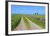 Track Disappears into Distance, Grass, Two Trees and Dry Stone Walls-Eleanor Scriven-Framed Photographic Print