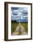 Track from Dobe Border to Nokaneng, and storm clouds, Botswana, Africa-David Wall-Framed Photographic Print