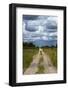 Track from Dobe Border to Nokaneng, and storm clouds, Botswana, Africa-David Wall-Framed Photographic Print