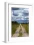 Track from Dobe Border to Nokaneng, and storm clouds, Botswana, Africa-David Wall-Framed Photographic Print