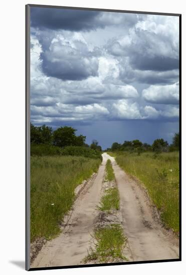 Track from Dobe Border to Nokaneng, and storm clouds, Botswana, Africa-David Wall-Mounted Photographic Print