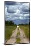 Track from Dobe Border to Nokaneng, and storm clouds, Botswana, Africa-David Wall-Mounted Photographic Print