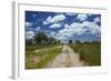 Track from Dobe Border to Nokaneng, Northwestern Botswana, Africa-David Wall-Framed Photographic Print