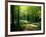 Track Leading Through Lanhydrock Beech Woodland with Bluebells in Spring, Cornwall, UK-Ross Hoddinott-Framed Photographic Print